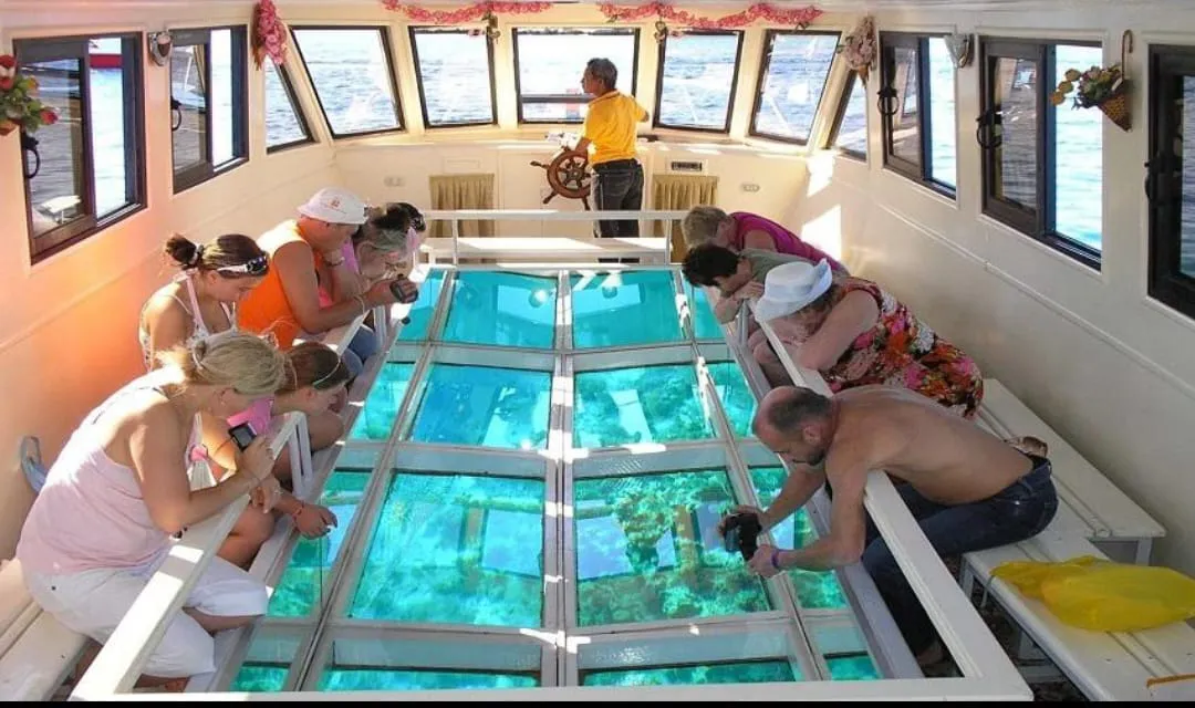 🌊✨ Semi-Submarine Sea Scope Adventure – El Gouna 🚤🐠 Sea Scope Adventure El Gouna /IMG-20260702-WA0084.jpg